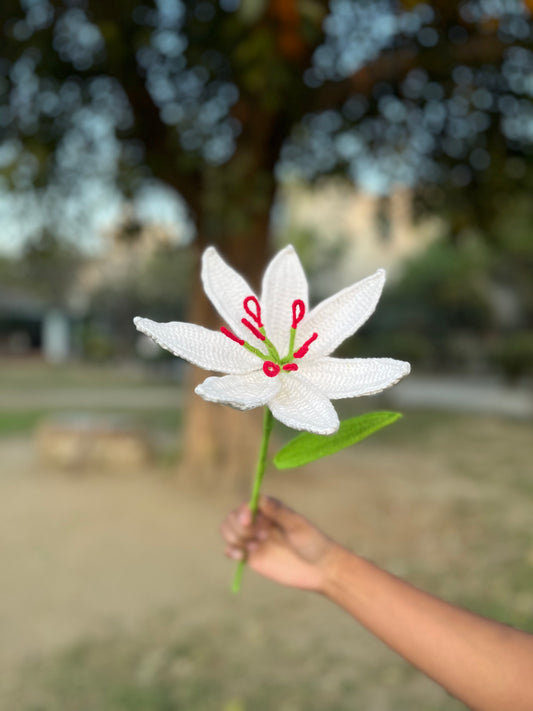 🌷 Single Crochet Tulip – Handmade Forever Bloom