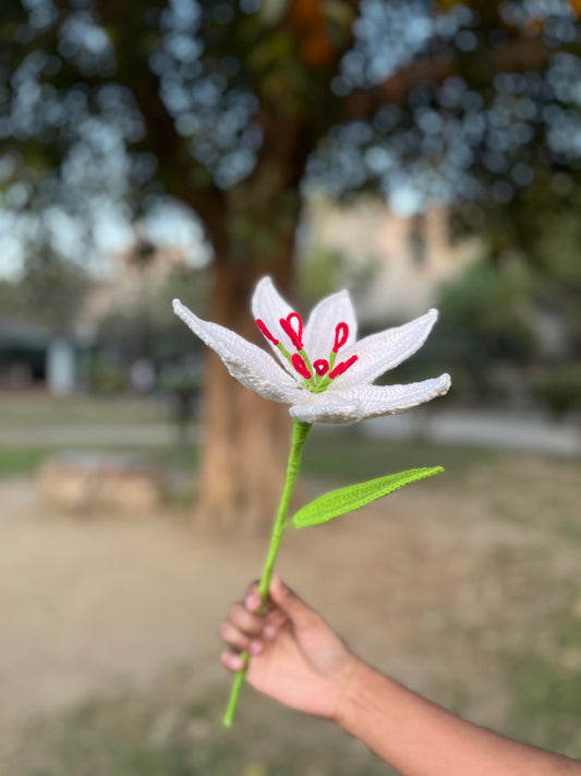 🌷 Single Crochet Tulip – Handmade Forever Bloom