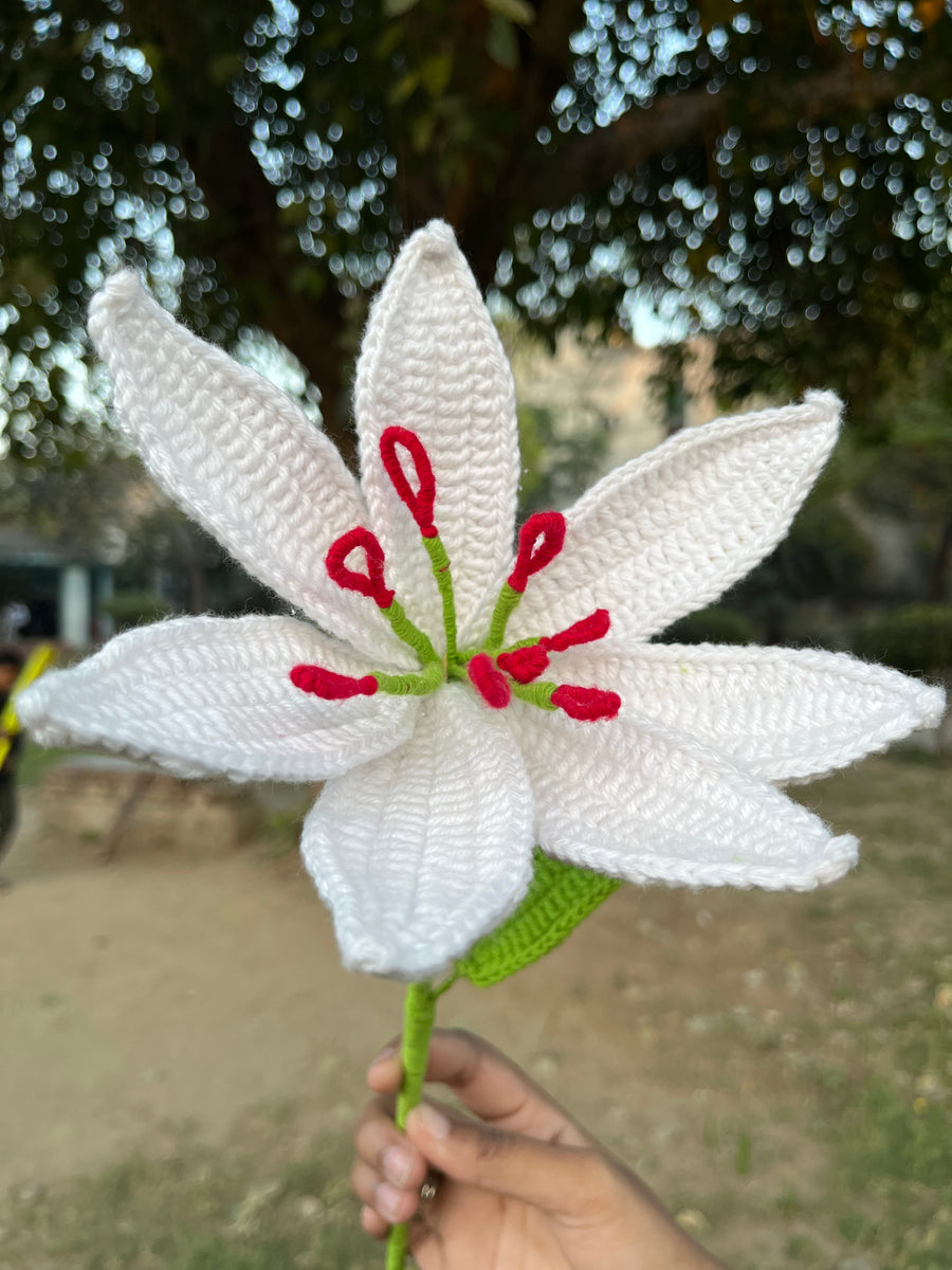 🌷 Crochet Flowers