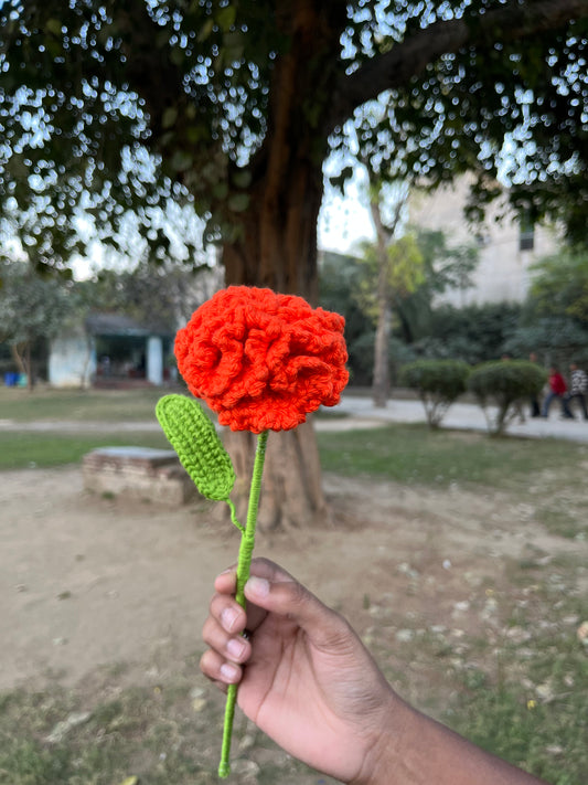 🌹 Single Crochet Carnation – Handmade Forever Bloom